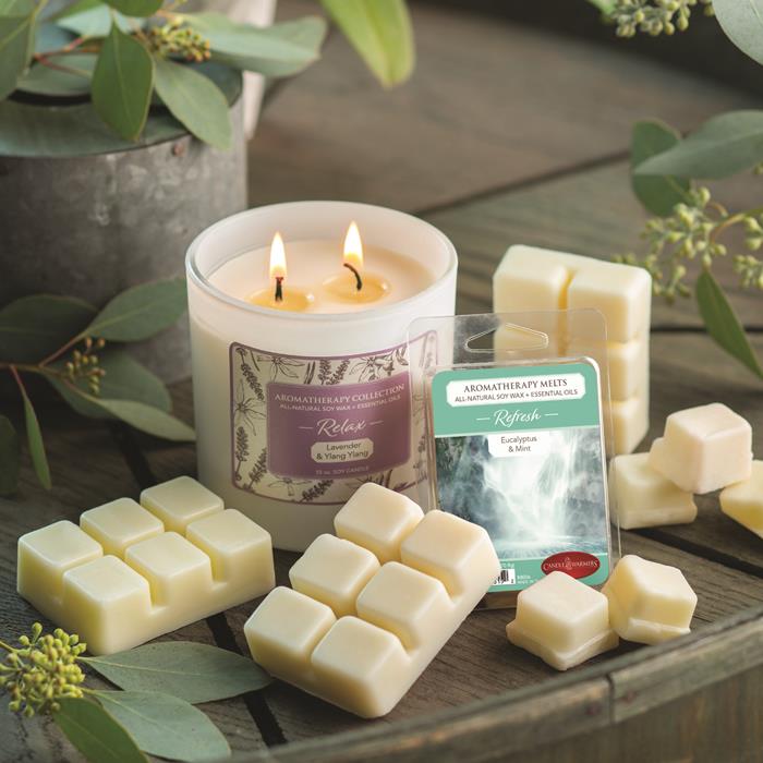 candle warmers aromatherapy candle and wax melts