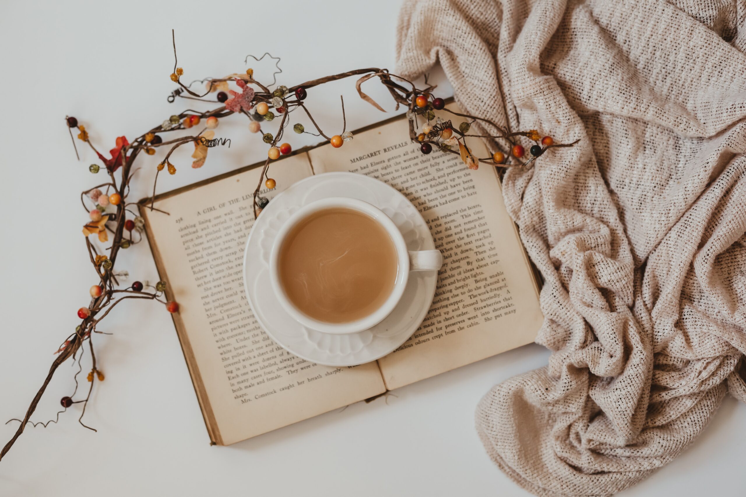 Aware cup of coffee is sitting on top of an open book. Holiday branches and greenery are laid on top of the book. There is a beige blanket bunched around the side of the frame on a white background.